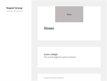 Tablet Screenshot of napair.net